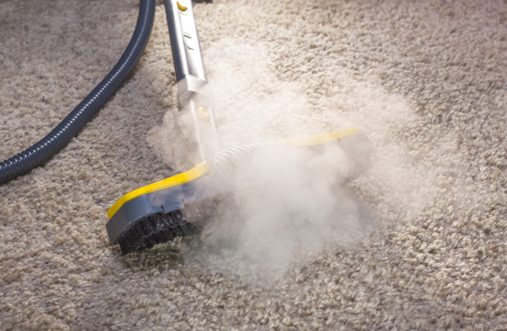 Steam Carpet Cleaning Service in Oakmont Pittsburgh Carpet