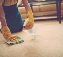 10 DIY Homemade Carpet Stain Removers
