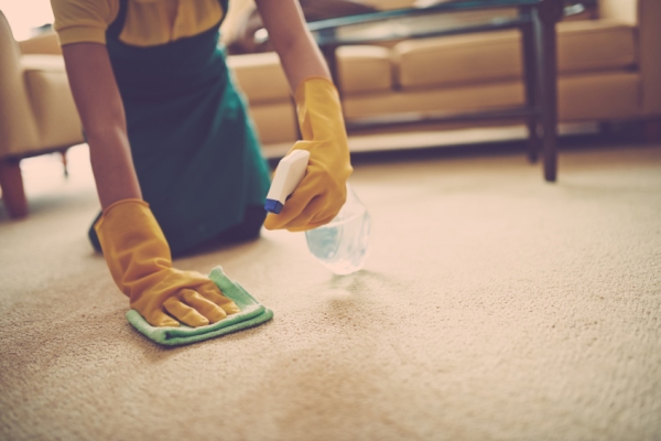 Best Carpet Stains and Spot Removers